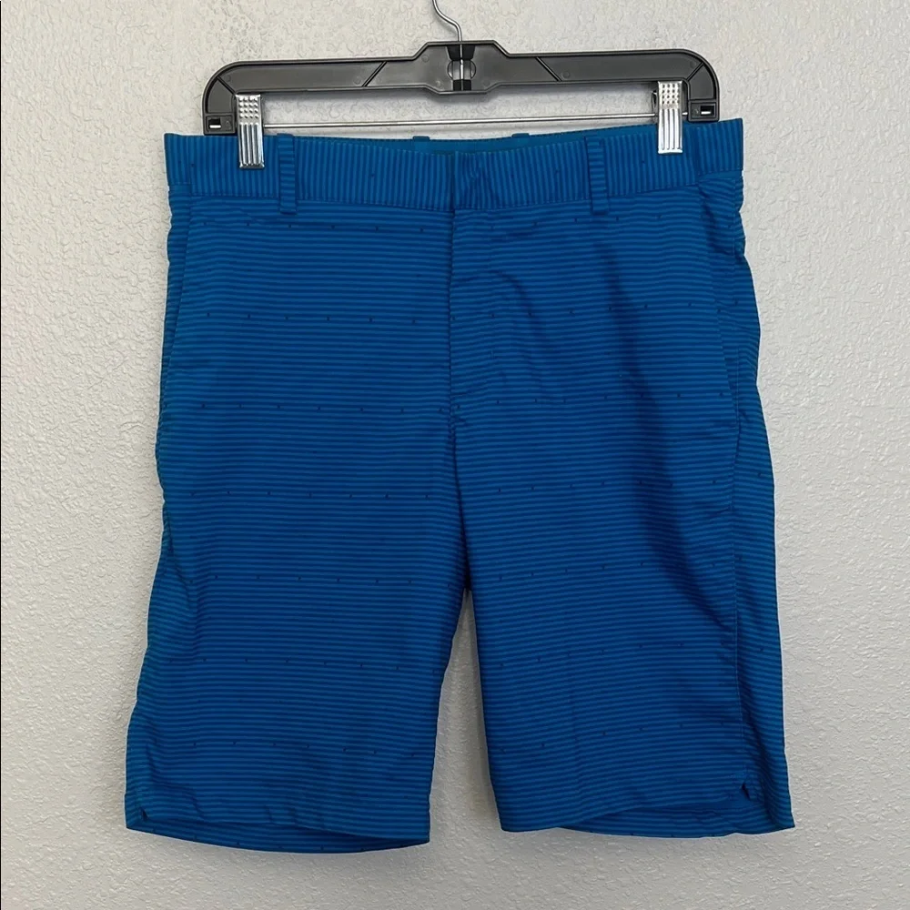 Nike Flex Golf/Casual Shorts Blue Stripe Size 30